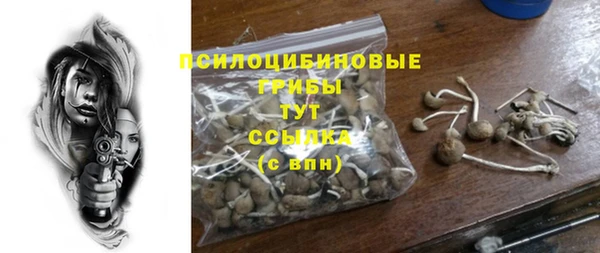 ПСИЛОЦИБИНОВЫЕ ГРИБЫ Горнозаводск