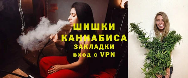 индика Ростов