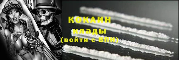 молекула духа Горно-Алтайск