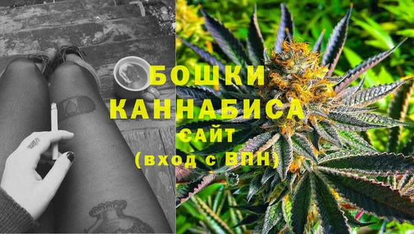 молекула духа Горно-Алтайск