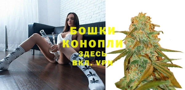 ПСИЛОЦИБИНОВЫЕ ГРИБЫ Горнозаводск