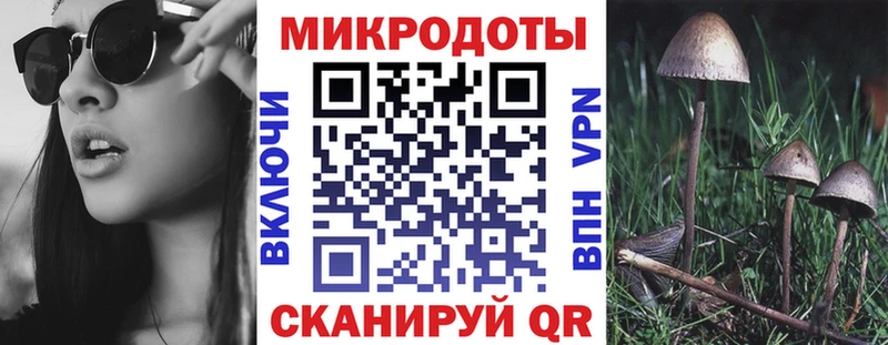 Галлюциногенные грибы Cubensis Нальчик